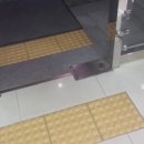 동구프라자 이미지