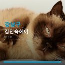 김진숙헤어 - 영주시 | 김진숙헤어