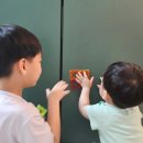 대성소프트 | 일주일 내내 들들 볶인 베네피아 키즈몰 피카소타일 자석블럭 미니마블런(똥손 남자아이 추천)