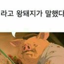친절한 초봄씨 | 인천 메리빌리아 송도 셀레스메리홀 계약후기🍀
