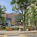 서울특별시성동구보건소 이미지