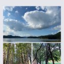 올라알파카 카페 이미지