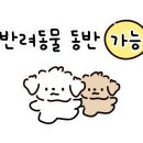 포르타나 국제신도시점 이미지