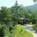 윤산 둘레길 이미지