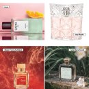 (주) 시나몬게임즈 이미지