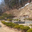 전제만목장 이미지