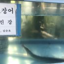 임진강나루 이미지