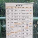 복1리 송대리경로당 | 2023년 4월 1일 - 흩날리는 벚꽃과 함께하는 청주, 진천 버스 여행기(증평을 가보다)