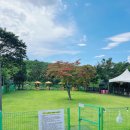 발바닥애견카페 이미지