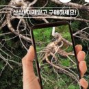 한국에프앤비 주식회사 이미지