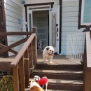 개편한집 이미지