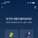 솜띠