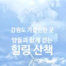 혜림목장 이미지