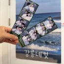 브라운도트호텔강릉경포점 | 강릉 오션뷰 가성비 숙소 추천 경포해수욕장 바로 앞 숙소 브라운도트 강릉경포점 내돈내산 후기