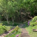 생각속의집 라벤더 이미지