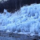 비슬산자연휴양림 이미지