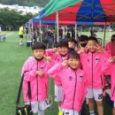 거진종합운동장 이미지