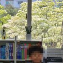 수학의봄날교습소