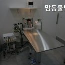 맘동물병원 이미지