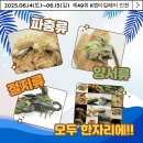 렙타일케이지 이미지