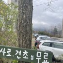 머리농장 | 강릉동물원 '대관령아기동물농장' 솔직방문후기