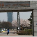 대구대학교 이미지