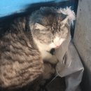 글로리아키즈가족단체 이미지