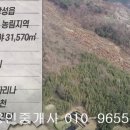 장성읍 부흥리 임야31570제곱,매6680만원,전남토지매매,장성토지매매, 이미지