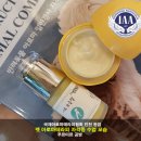 반려동물 아로마 테라피 자격증 | 반려동물 아로마테라피 자격증 수업 후기 - 강아지 비누로 창업하기, 펫 피부관리 천연연고 아로마 샴푸...
