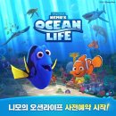 선오션 이미지