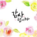루이바이오 네이버블로그