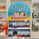 하이워시제주 이미지