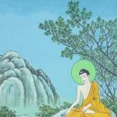수자타 - 수성구 | 수자타