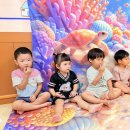 ⭐️ 별하반 ⭐️ 파티숑 - 조개 🐚 이미지