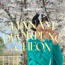 (주)서울유니온약품 | 하남 벚꽃명소🌸 스타필드 유니온파크 옆 덕풍천 산책로