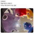 도쿄카레 - 구리시 경춘로 261 | 도쿄카레