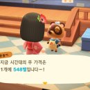 강서YD동물의료센터 이미지