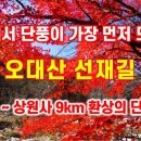 '단풍명소' 오대산 선재길 사전답사 영상...10.15 단풍 절정!? 이미지