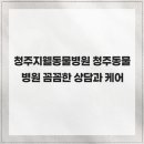 청주지웰동물병원 | 청주지웰동물병원 청주동물병원 꼼꼼한 상담과 케어