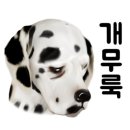 미리네 수선 이미지