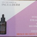 인셀덤 서울본부 안성