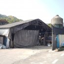 용인축산
