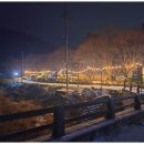 강변의 숲속 네이버블로그