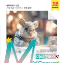 미리캔버스, 기초부터 활용까지 이미지