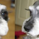 무지개타운 이미지