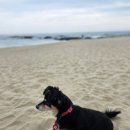 부흥횟집 | 동해 부흥횟집