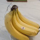 송이세탁소 이미지