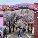 고향에봄 - 창원시 성산구 | 고향에봄