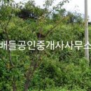 삼산면보건지소 네이버블로그