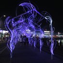 대모회센타 이미지